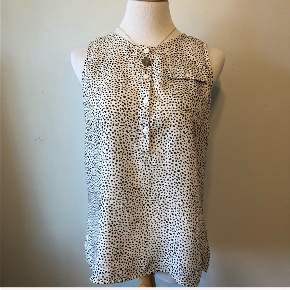 ANN TAYLOR LOFT-White/Black Blouse Top